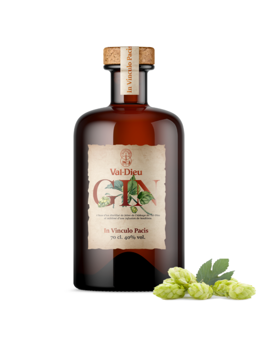 Gin_V2 Gin_V2